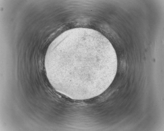 X0000085241250200704092014