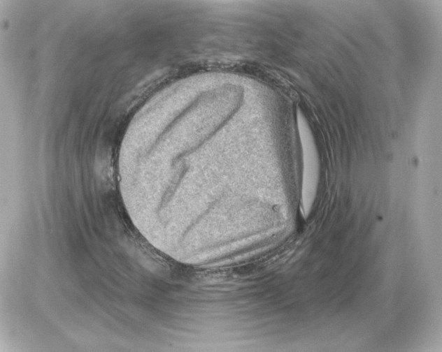 X0000085241252200704092014