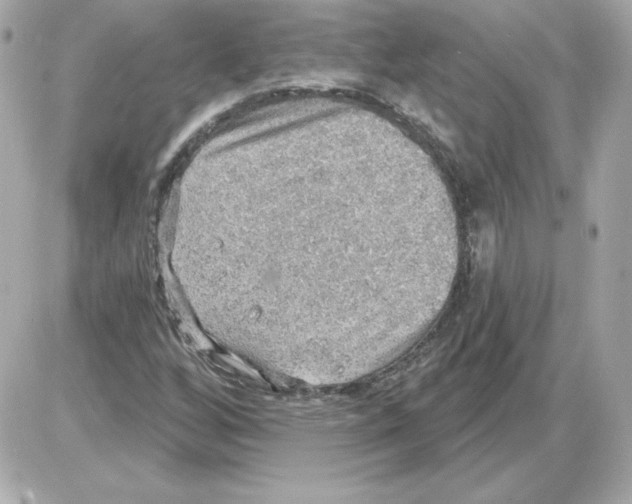 X0000085241256200704092014
