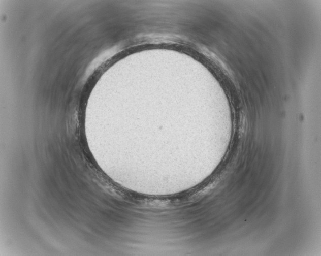 X0000085241261200704092014