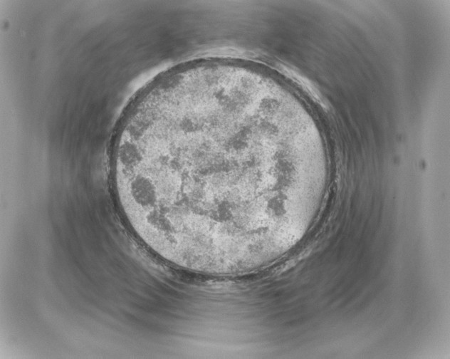 X0000085241264200704092014