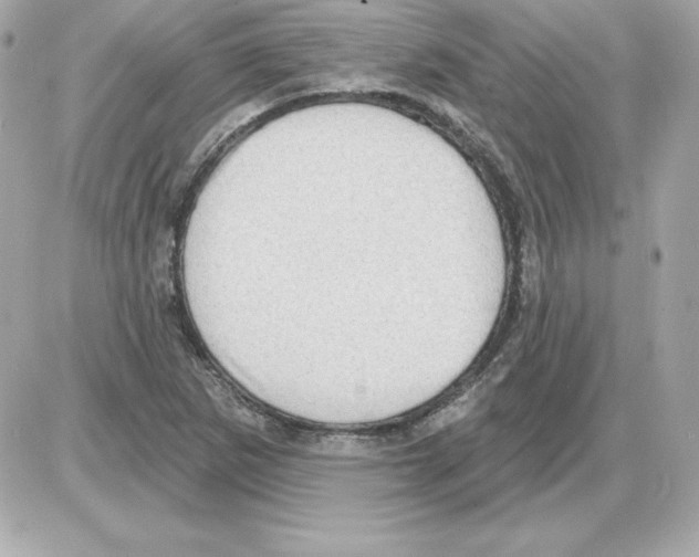 X0000085241265200704092014
