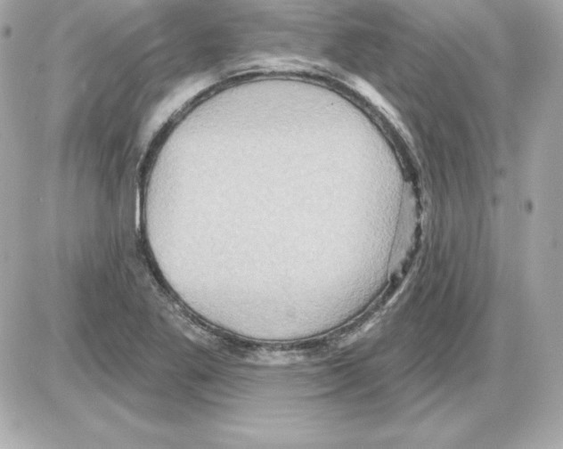 X0000085241269200704092014
