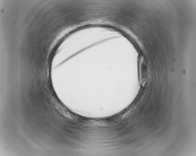 X0000085241270200704092014