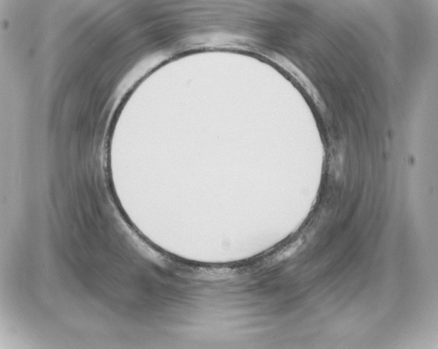 X0000085241285200704092014