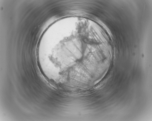 X0000085241291200704092014