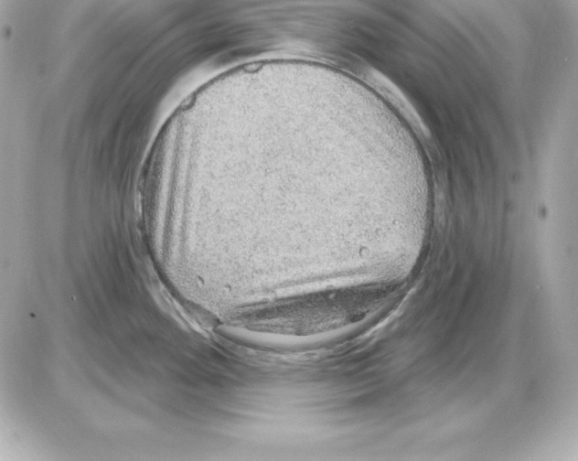 X0000085241292200704092014