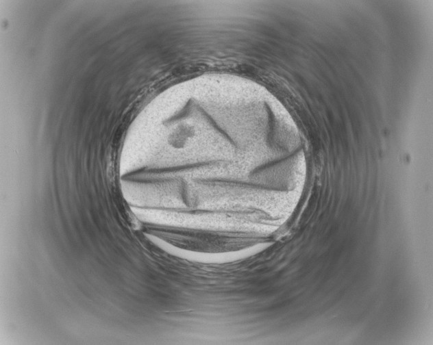 X0000085241298200704092013