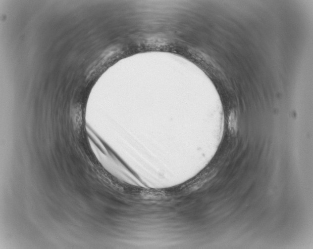 X0000085241299200704092013