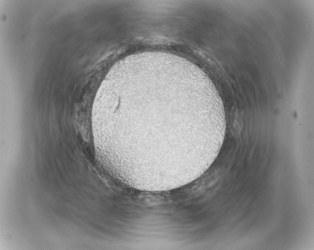 X0000085241301200704092013