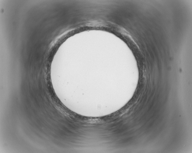 X0000085241304200704092013