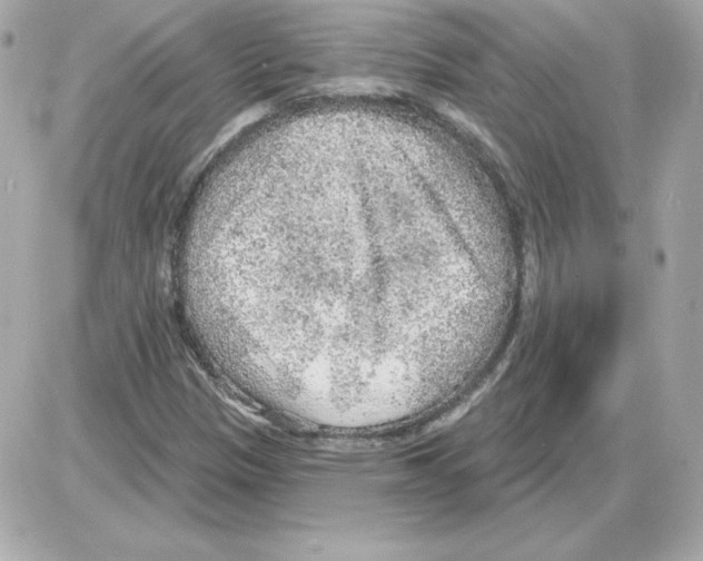 X0000085241305200704092013