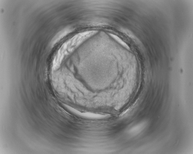 X0000085241306200704092013