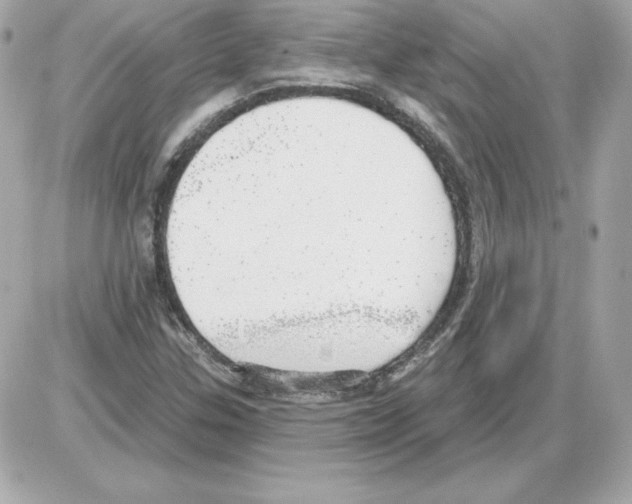 X0000085241307200704092013