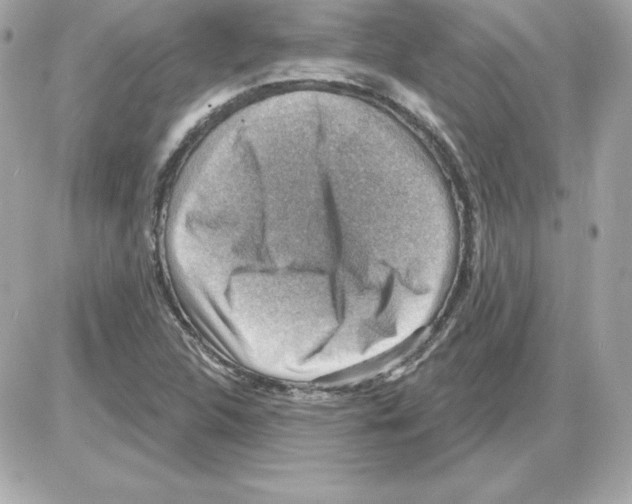 X0000085241312200704092013