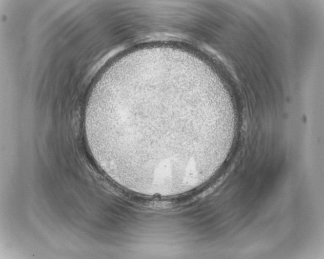 X0000085241313200704092013