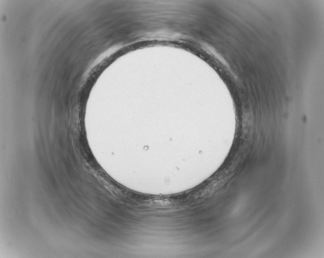 X0000085241315200704092013