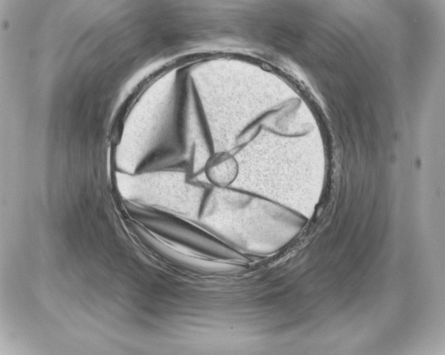 X0000085241320200704092013