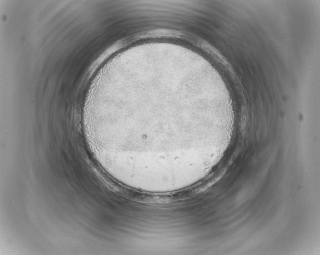 X0000085241321200704092013