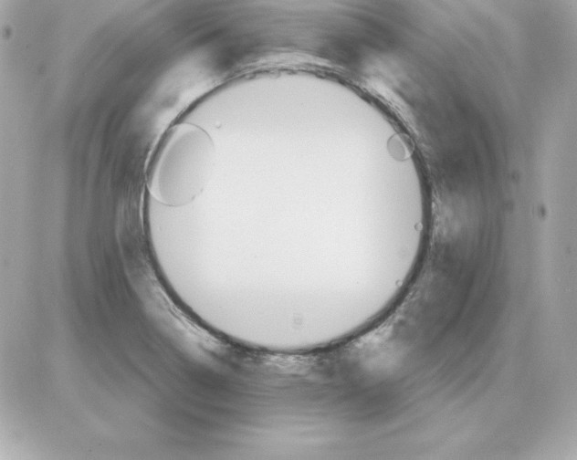 X0000085241322200704092013