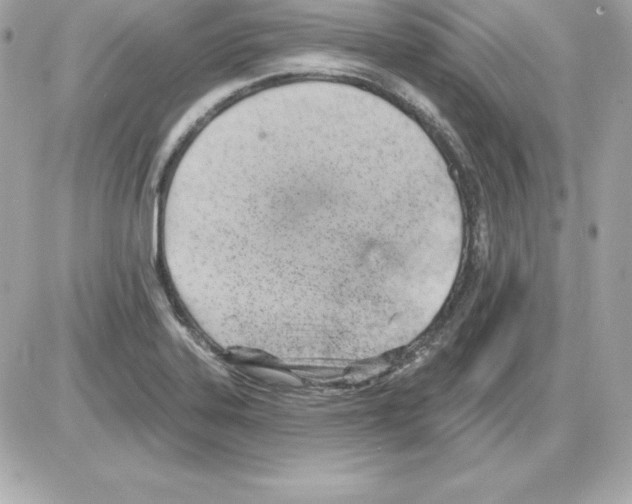 X0000085241323200704092013
