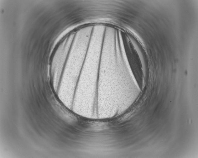 X0000085241324200704092013