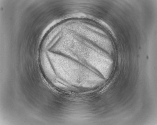 X0000085241326200704092013