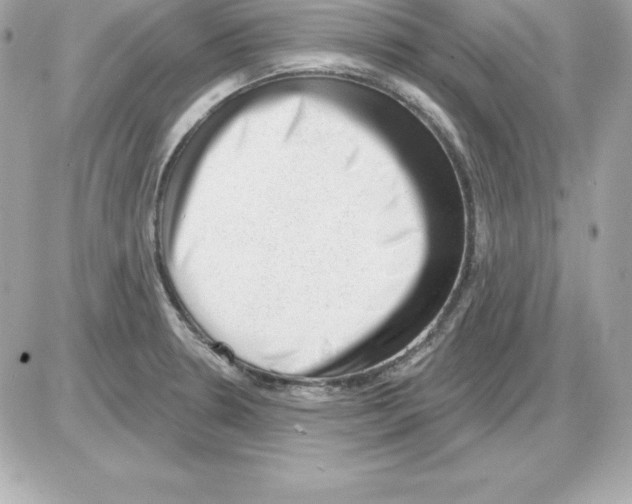 X0000085241330200704092013