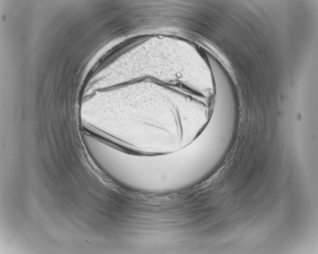 X0000085241332200704092013