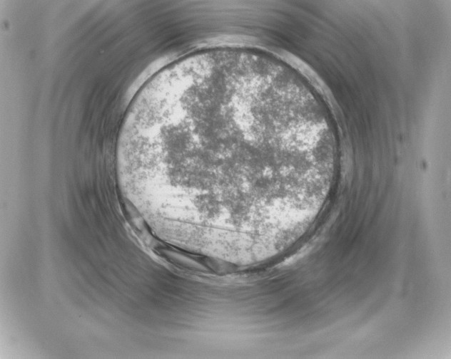 X0000085241337200704092013