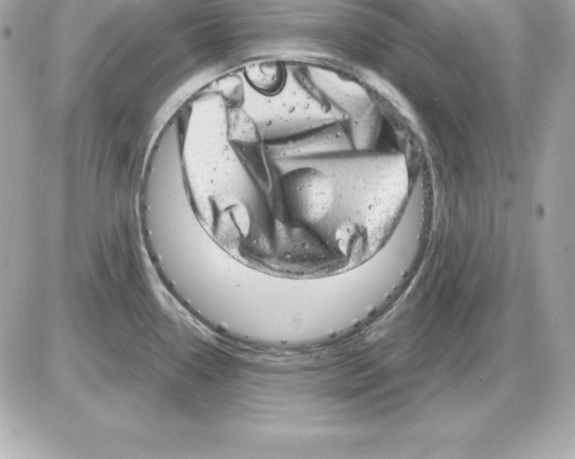 X0000085241338200704092013