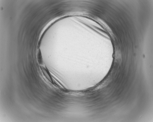X0000085241340200704092013