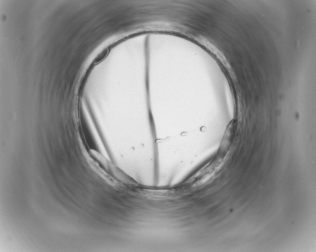 X0000085241342200704092013