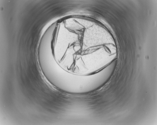 X0000085241344200704092013