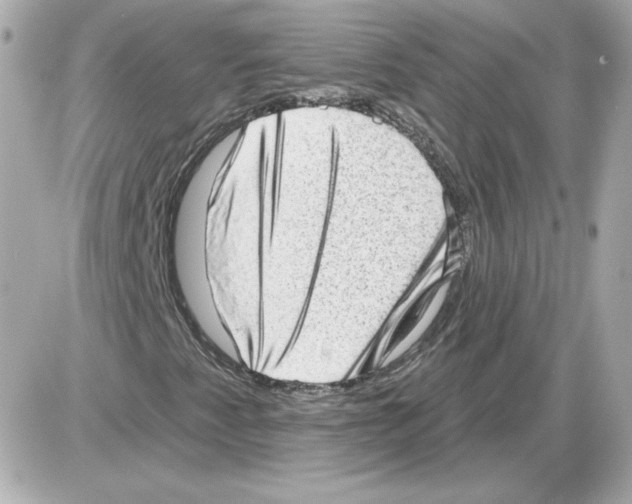 X0000085241345200704092013
