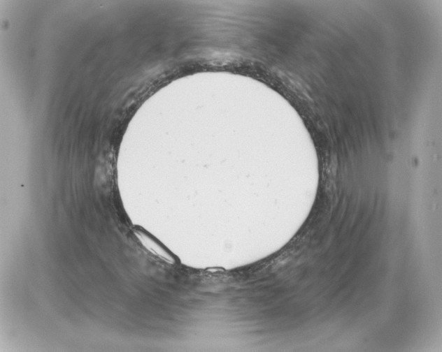 X0000085241349200704092013