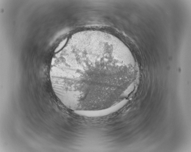 X0000085241351200704092013