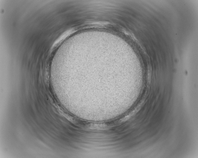 X0000085241354200704092012