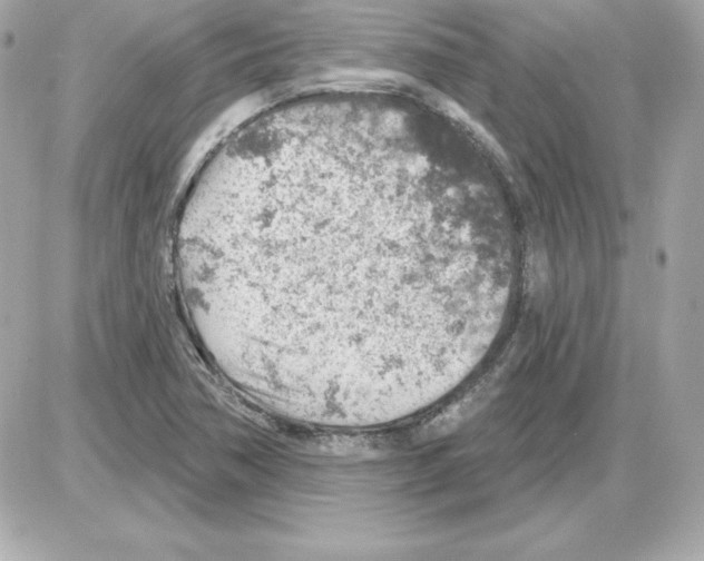X0000085241362200704092012
