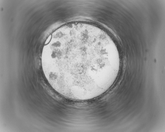 X0000085241363200704092012