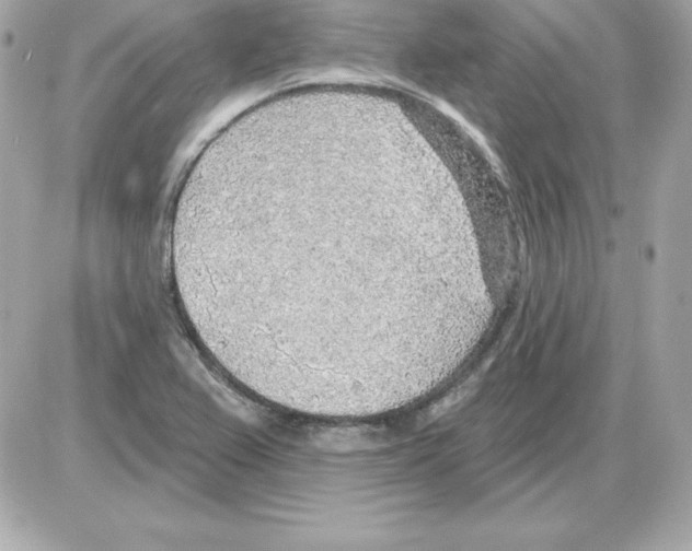 X0000085241367200704092012