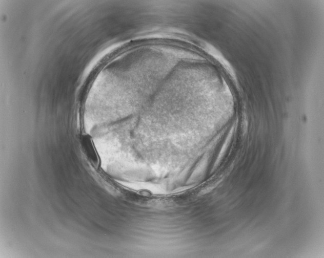 X0000085241368200704092012