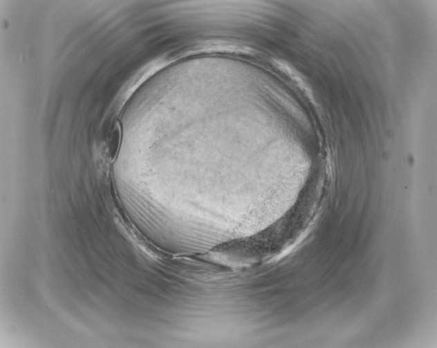X0000085241369200704092012