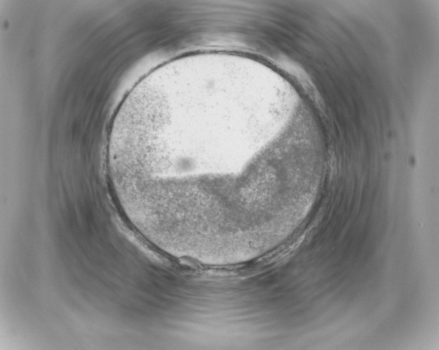 X0000085241374200704092012