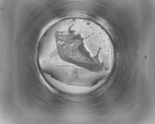 X0000085241379200704092012
