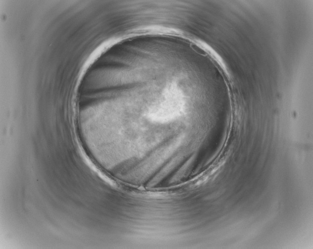 X0000085241381200704092012