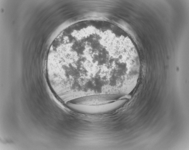 X0000085241383200704092012