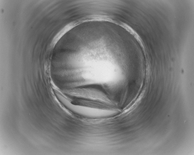 X0000085241385200704092012