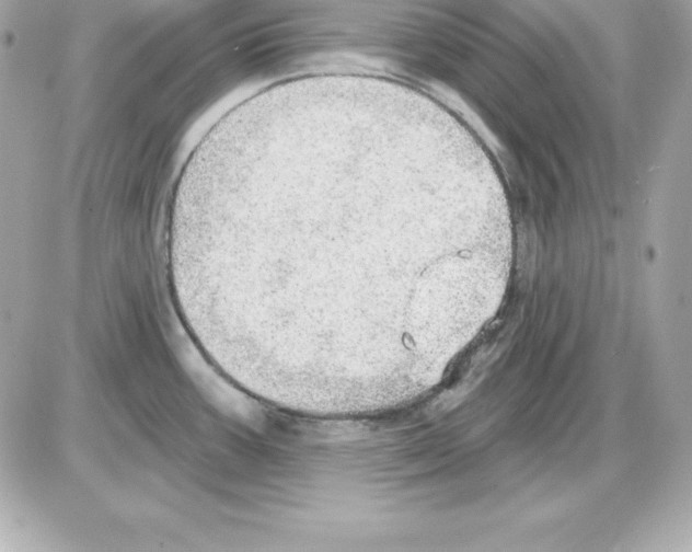 X0000085241387200704092012