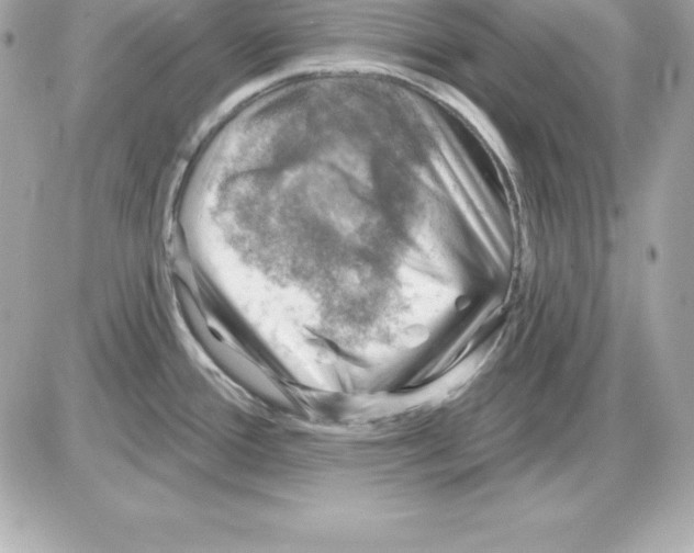 X0000085241388200704092012